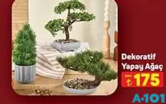 DEKORATİF YAPAY AĞAÇ fiyat ve kampanya bilgisi